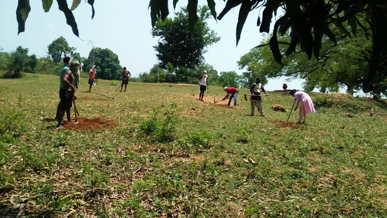 Water Harvesting Pond