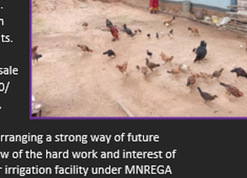 Six Women Farmers Polyhouse Nursery Unit